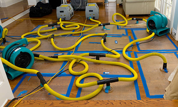 Professional Storm Water Damage Restoration technician working in Archbold, OH